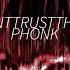 PHONK Dont Trust Them Donttrustthem