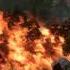 Песня из Far Cry 3 Осиное гнездо