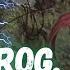 It S Showtime The Gitrog Ravenous Ride 01 MTG Arena Historic Brawl