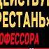 Нас Слышат Умершие Вернер Шибелер о влиянии нашей скорби на умерших Жизнь после смерти