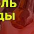 Алкоголь и сосуды Пить или не пить