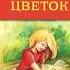 Неизвестный цветок