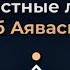 Отзывы Знаменитостей об Аяваска опыте Как Опыт Аяваски изменил их жизни