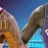 Did Phoenix Suns Get FLEECED For Kevin Durant W Flex From Jersey