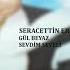 Seracettin Erman Sevdim Seveli