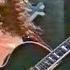 Ted Nugent Live Germany 1976