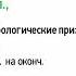 Определительные местоимения 6 класс видеоурок презентация