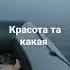 Вечерние катание на моторной лодке с мотором тахатсу 9 8 по реке Волге
