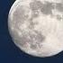 Full Moon In Taurus November 15 2024 Will We Change Direction Or Stay Where We Are Question