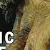 The Tragic Story Of Davy Jones Pirates Of The Caribbean