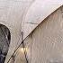 Camping In The Rain In A Two Story Luxury Tent Even Money Cant T Buy Rain ASMR