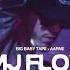 Big Baby Tape Aarne MJ Flow Official Music Video Dir By Toxi