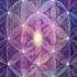 Flower Of Life