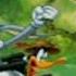 Looney Tunes Back In Action GBA Music Title Screen