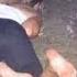 Женщина стонала в холодном погребе не в силах выбраться наружу И вдруг она увидела его