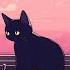 Work Cat Listen To It To Escape From A Hard Day Relax Study Work Lofi Hip Hop