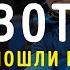 Вот я пошли меня Свидетельство инвалида Владимир Любович Часть 2 Выбор Студия РХР