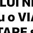 7 Sfaturi Ale SFÂNTULUI NECTARIE Pentru O VIAȚĂ în BUNĂSTARE și PACE