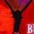 Butterfly Upswing Mix Smile Dk