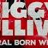 5 START DRIVING ZIGGY SULLIVIN
