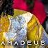 Massamba Amadeus Amadeus Daaru Dunya Clip Officiel