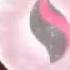 Pokemon Mega Evolution AMV