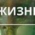 Молитва Древо Жизни Прими полное исцеление в молитве Андрей Яковишин Nebesnayacivilizacia