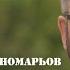 Олександр Пономарьов Офіцери Ponomarev Ukraine офіцери українапереможе