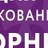 Евангелие дня с толкованием 15 февраля 2022 вторник Со Сретением Господним