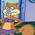 Spongebob Squarepants Sandy S A Girl