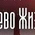 Аудиокнига Фантастика Кузьменко Владимир Древо Жизни Книга 1 часть 3