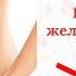 Вебинар Как сохранить желудок и кишечник здоровыми 14 09 22