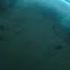 Manta Ray Gets A Spring Clean 4KUHD Japan Earth S Enchanted Islands BBC Earth