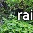 How To Build A Rain Garden Utilise Rainwater And Prevent Flooding