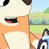 It S A Baby Race Full Episode Season 2 Bluey