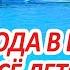 Как БЫСТРО и НАДОЛГО очистить воду в бассейне ПРОСТО и НЕДОРОГО