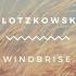 Windbrise