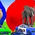 5 Giant 5 Giant Duck Cartoon Cow Mammoth Goat Duck Lion Paint Wild Animals Crossing Fountain Animati