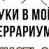 Жуки в моëм террариуме ЧАСТЬ 2 НОСОРОГ ИЮНЬСКИЙ ЖУК и другие