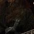 Weep Wave Rebirth Mantra Live On KEXP