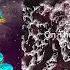 Space Food On The Line Paul Anthonee Remix ZEF Music