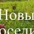 Новые соседи христианский рассказ читает Светлана Гончарова