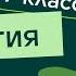 Многообразие и значение кишечнополостных Видеоурок 8 Биология 7 класс