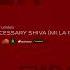 Delaram Kamareh Necessary Shiva MI LA Remix