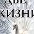 Две жизни Антарова Конкордия Аудиокнига 3 книга 4 часть