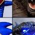 Making Sonic Tapes Shin Sonic Godzilla Kong MUTATED AIRPLANE MONSTER Sculptures Timelapse