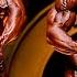 2016 Arnold Classic Kai Greene Vs Cedric McMillan HD