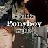 Ponyboy Theoutsiders Greasers Ponyboy