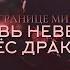 ВНОВЬ НЕВЕСТУ УНЁС ДРАКОН На границе миров