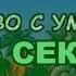 Волшебные холмы Знакомство с Умбой лето за 5 секунд